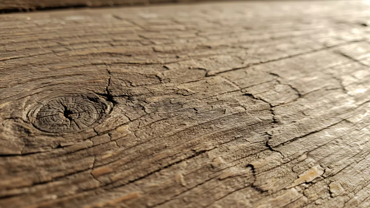 Gnarly Wood Grain Texture Up Close and Personal