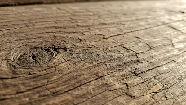 Gnarly Wood Grain Texture Up Close and Personal