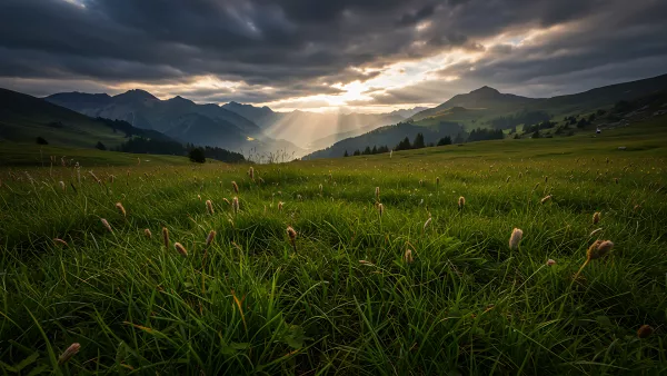 Golden Hour Glow Over Green Fields and Distant Mountains