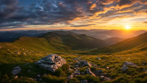 Golden Hour Vibes over Rolling Green Hills