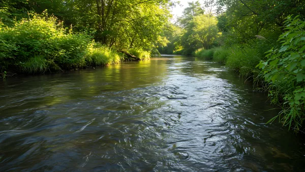 Babbling Brook Through Lush Greenery Serene Nature Vibes