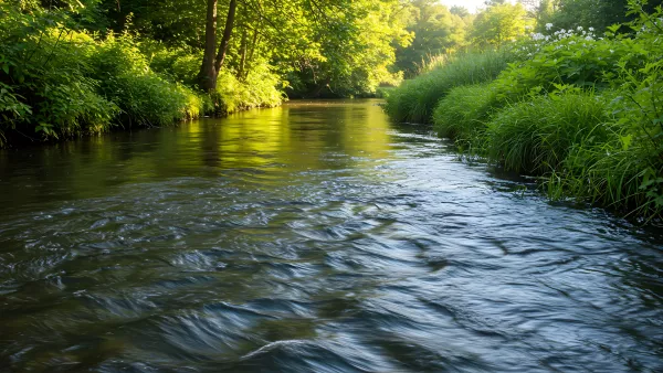 Babbling Brook Through Lush Greenery Serene Nature Scene