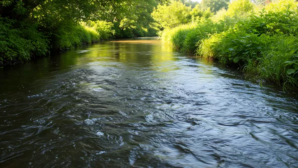 Flowing River Surrounded by Lush Greenery on a Sunny Day
