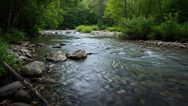Flowing River Through Lush Green Forest Scenery
