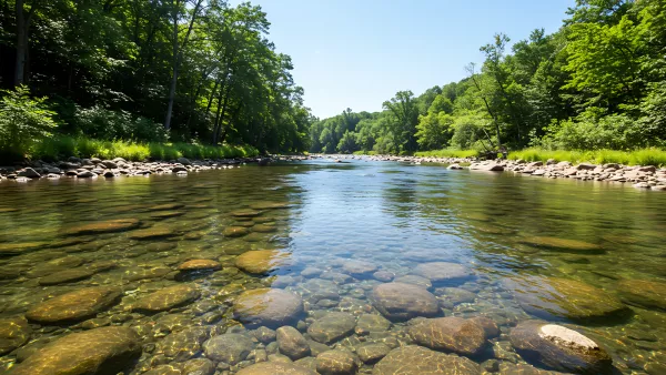 Crystal River Flowing Through Lush Green Forest