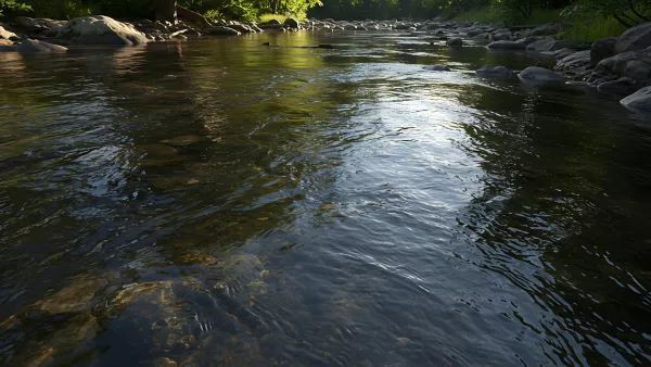 Sunlight Dancing on a River's Gentle Flow Serene Nature