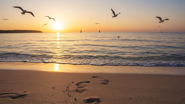 Golden Hour Beach Vibes Footprints and Seagulls Galore
