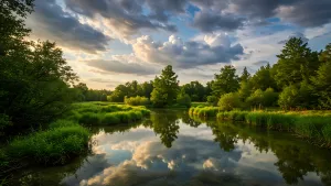 Still waters and a sky full of secrets in the forest