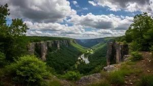 Verdant Canyon Vista Lush Greenery and Towering Cliffs