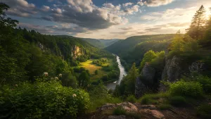 Verdant Valley View Serene River and Forest Scenery