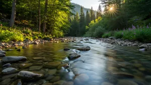 Sunlit River Flowing Through a Lush Green Forest